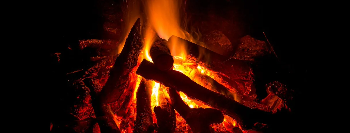 Wood fire used as Ember & Oak's hero imagery